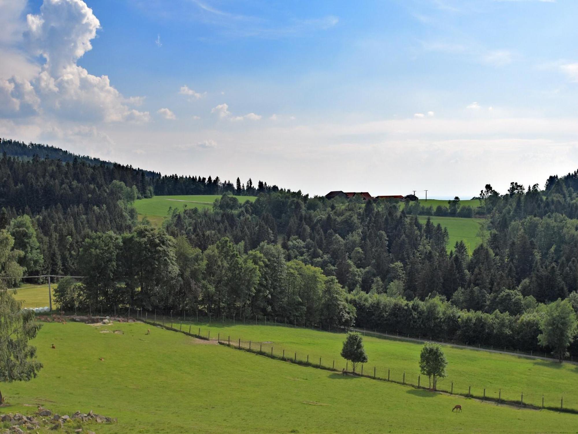 With Panoramic View And Every Convenience Apartment *