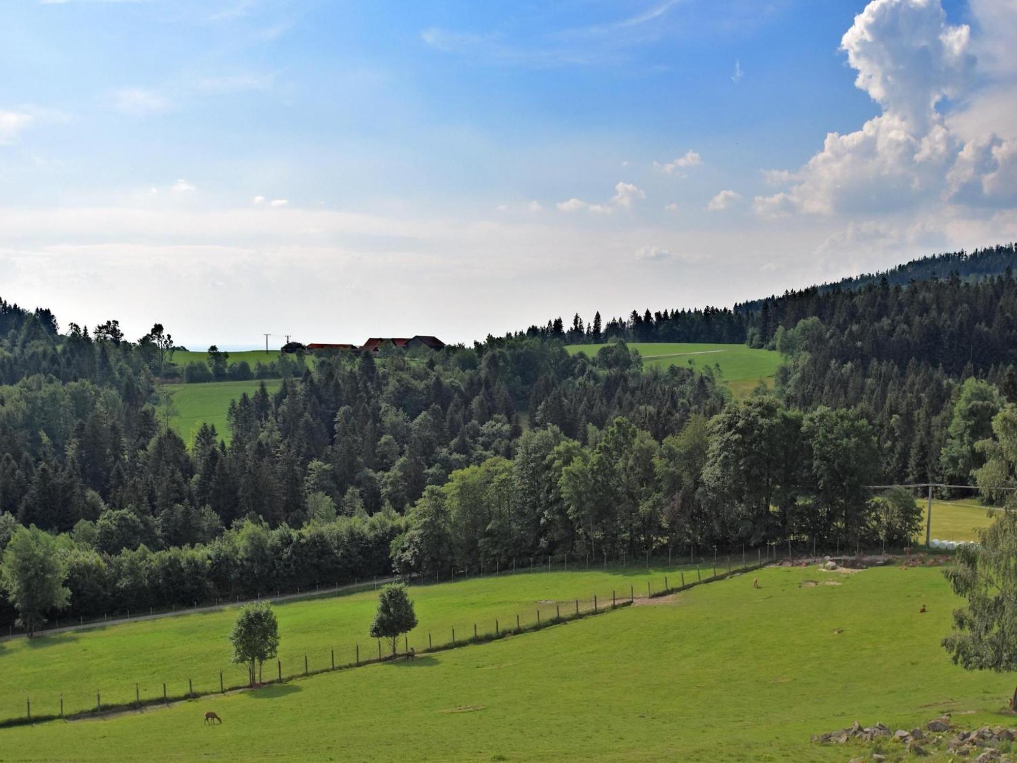 With Panoramic View And Every Convenience
