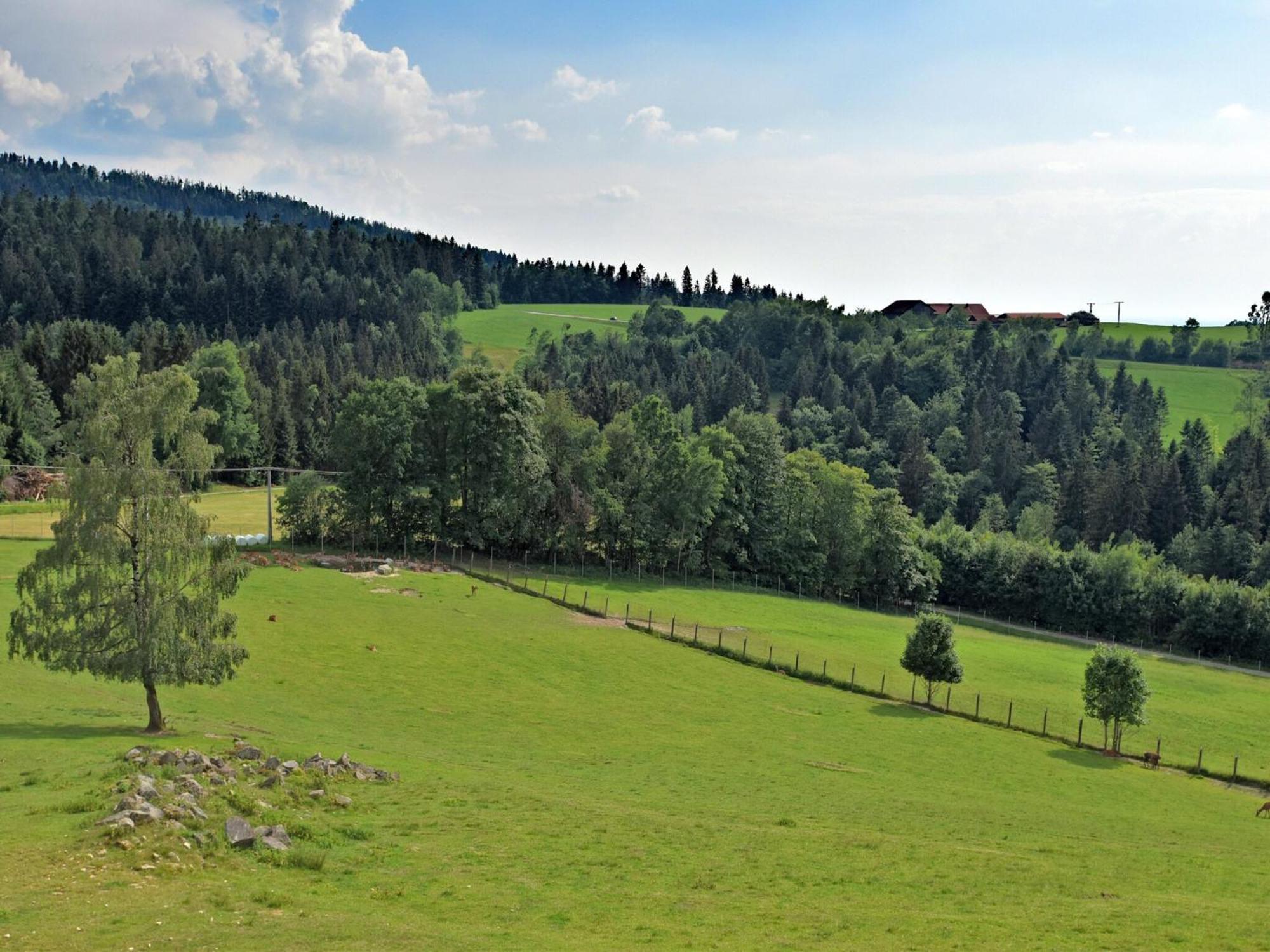 Apartment With Panoramic View And Every Convenience Waldkirchen